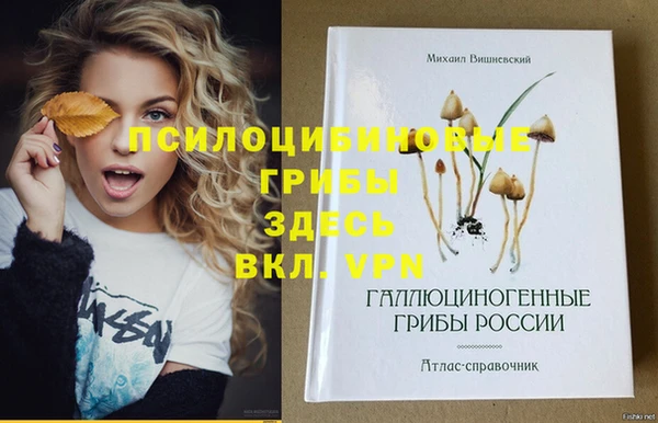 кокаин премиум Алзамай