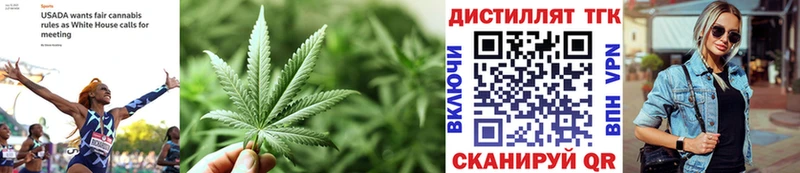 ТГК THC oil  Новоузенск 