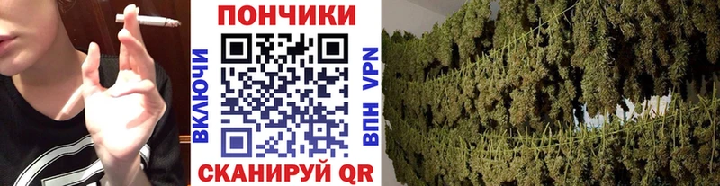 ссылка на мегу сайт  Новоузенск  Марихуана гибрид  как найти закладки 
